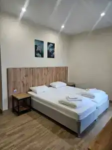 Астерия Меганом - 80