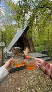 Птица в гнезде - 21