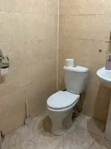 Золотой скорпион - 65