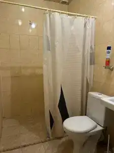 Золотой скорпион - 57