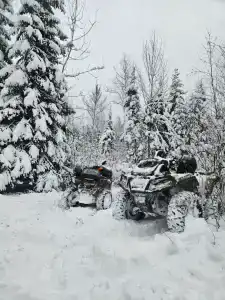 Буренкино Царство - 64