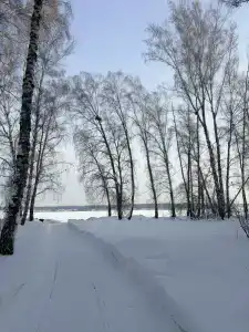 Лесная Усадьба - 59
