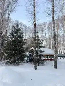 Лесная Усадьба - 63