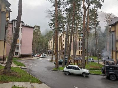 Сёрфер - 81
