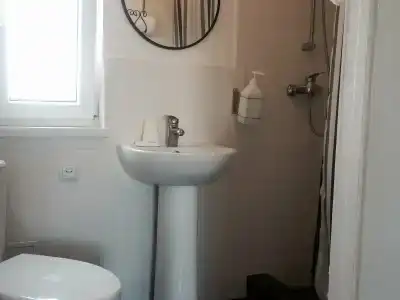 Совы - 52