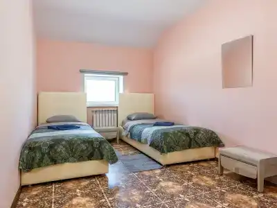 Аист - 50