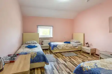 Аист - 58