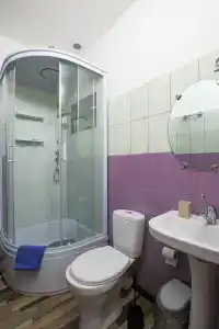 Аист - 59