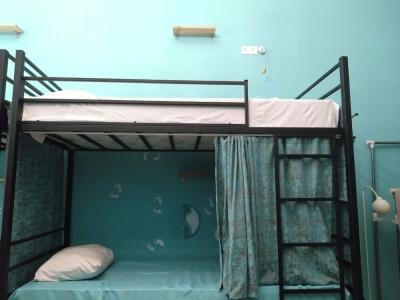 Moosica Hostel - 59