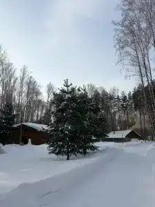 Лесная Усадьба - 62