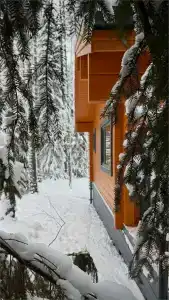 Морошка Эко Вилладж - 103
