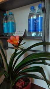 Карельские Лага - 130