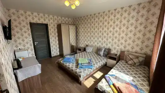 Фрунзенец - 50