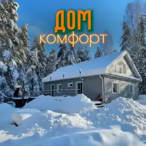 Сосновые шишки - 50