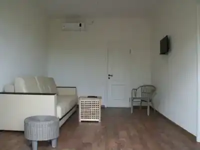 Совы - 95