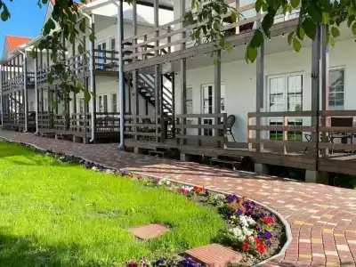 Совы - 90