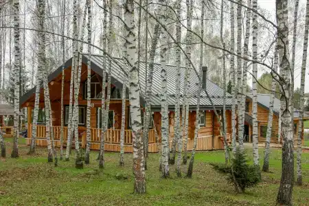 скульптора Эрьзи - 106