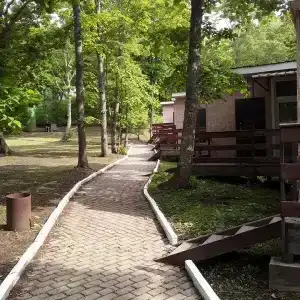 Ковчег - 31