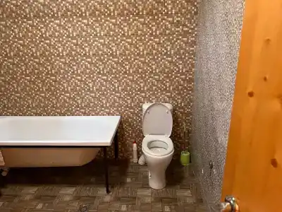 Дикая Земля - 29