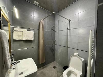Ideal - 100