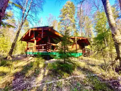 Неясыть - 65