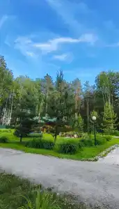 Лесная Усадьба - 39