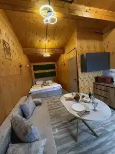 Счастливый лес - 62