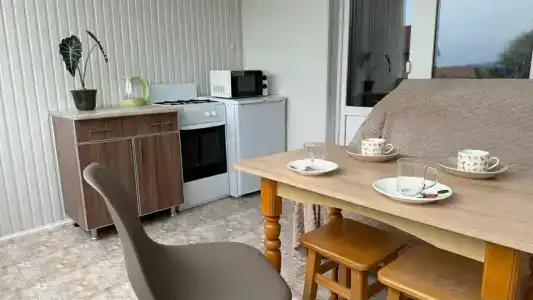 Виола - Рыбацкий - 223