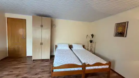 Виола - Рыбацкий - 228