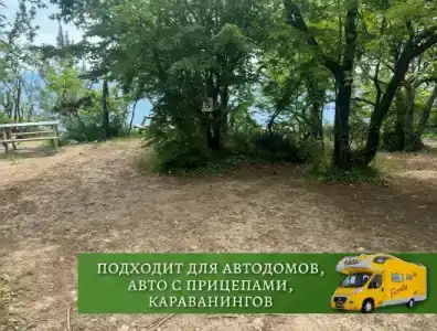 Можжевельник - 85