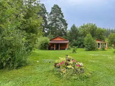 Берендеев лес - 95