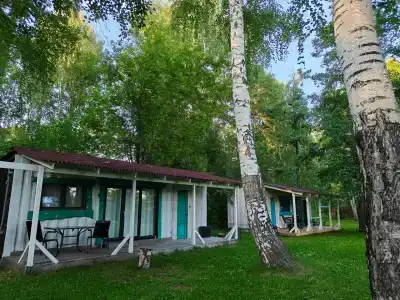 Берендеев лес - 140
