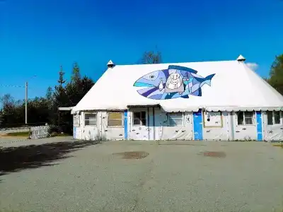 Онежский петроглиф - 50