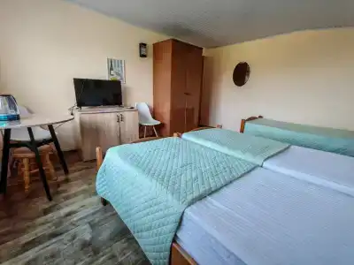 Виола - Рыбацкий - 216