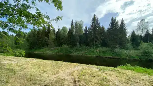 Федотовские дачи - 70