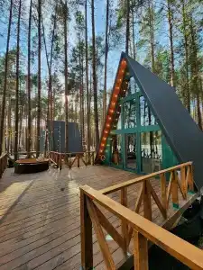 Шелест - 60