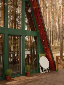 Шелест - 50