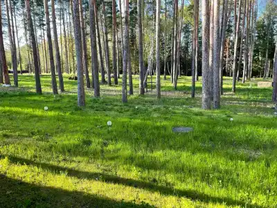 Звезда - 58