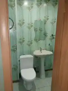 Дюртюли - 55