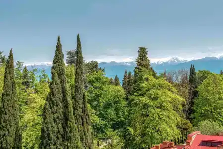 Tsinandali Estate, A Radisson Collection - 127