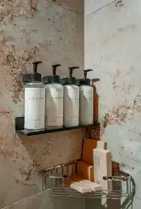 Modjo (бывш. Донна Роза) Моджио - 65