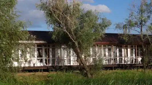 Берег мечты - 50