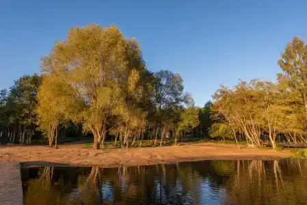 Аура Глэмп - 62