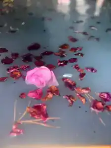 Каменные водопады - 30