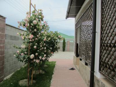 Гостевой дом на Греческой - 21