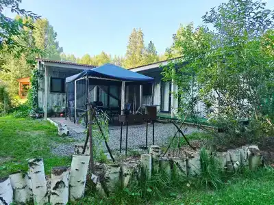 Берендеев лес - 105