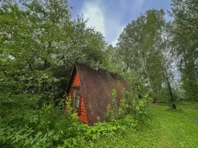 Берендеев лес - 133