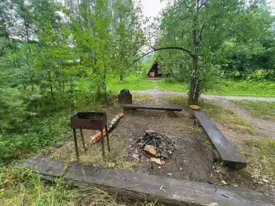 Берендеев лес - 134