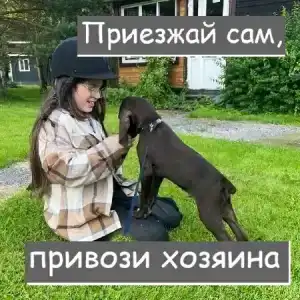 Русский Двор - 96