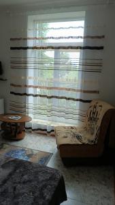 Магнолия - 31